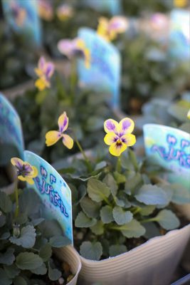 写真 2025-11-20 16 34 58_R_1