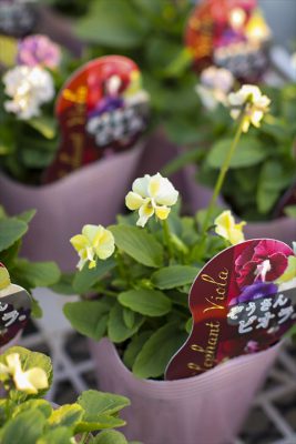 写真 2025-11-05 16 45 36_R_1