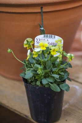 写真 2025-11-25 16 54 20_R_1