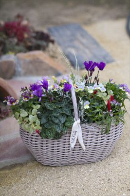 写真 2025-11-19 16 32 12_R_1