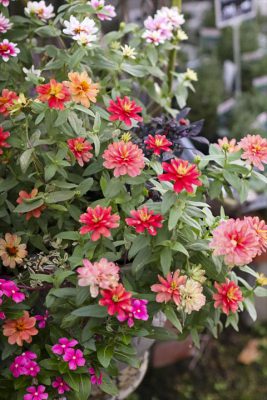 写真 2025-10-31 16 51 29_R_1