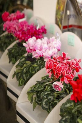 写真 2025-11-26 16 00 56_R_1