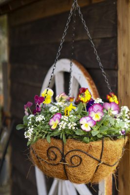 写真 2025-11-26 16 03 10_R_1