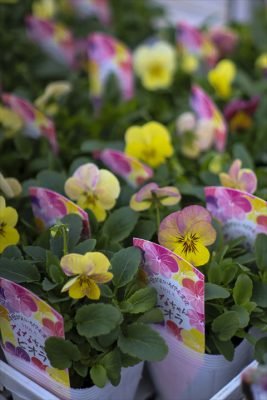 写真 2025-11-13 15 06 19_R_1