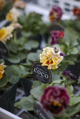 写真 2025-11-30 16 52 17_R_1