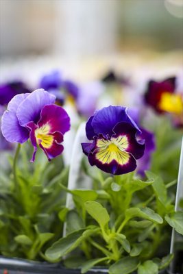 写真 2025-11-24 15 42 04_R_1