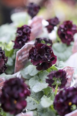 写真 2025-11-17 16 15 28_R_1