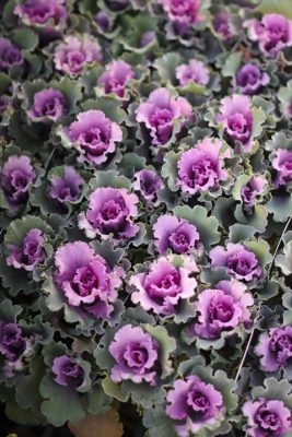 写真 2025-11-21 16 54 35_R_1