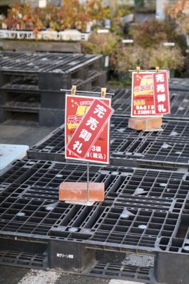 写真 2025-11-15 16 57 36_R_1