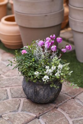 写真 2025-11-14 8 23 15_R_1