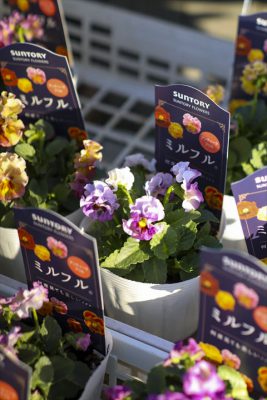 写真 2025-11-07 15 46 27_R_1