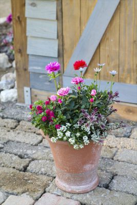 写真 2025-11-16 16 35 11_R_1