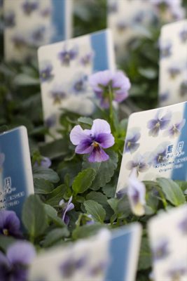 写真 2025-11-19 15 46 52_R_1