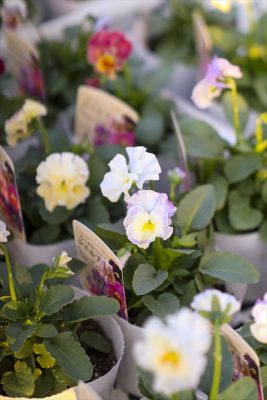 写真 2025-11-05 16 47 03_R_1