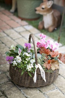 写真 2025-11-22 8 43 32_R_1