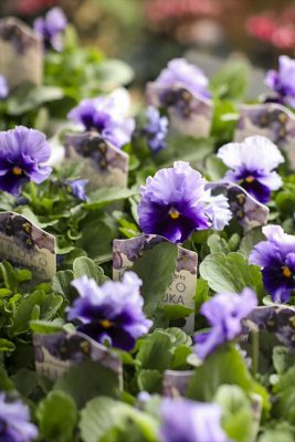 写真 2025-11-27 16 09 15_R_1