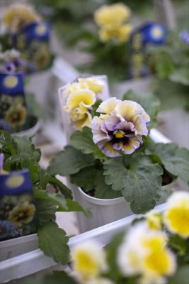 写真 2025-11-13 15 00 01_R_1