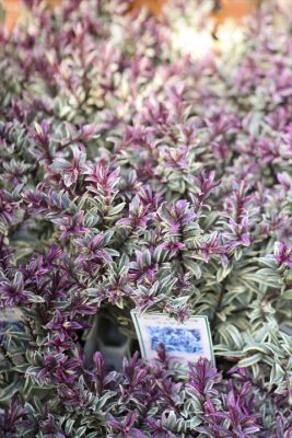 写真 2025-11-16 9 26 33_R_1