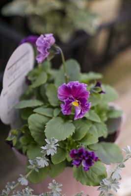 写真 2025-11-05 16 55 00_R_1