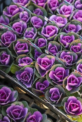 写真 2025-11-21 16 53 19_R_1