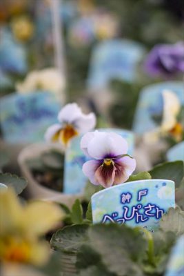 写真 2025-11-27 16 49 40_R_1