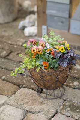 写真 2025-11-03 17 01 58_R_1