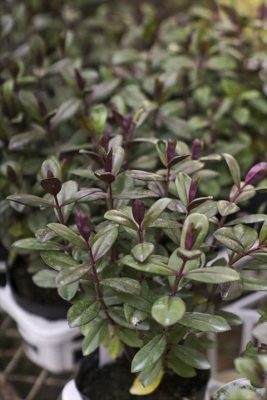 写真 2025-10-31 16 51 42_R_1