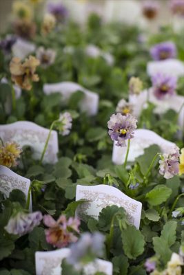 写真 2025-11-19 15 47 19_R_1