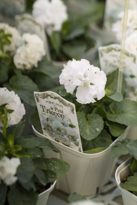 写真 2025-11-23 16 47 08_R_1