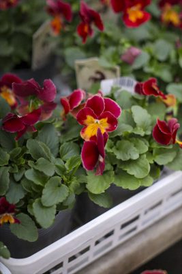 写真 2025-11-08 16 38 54_R_1