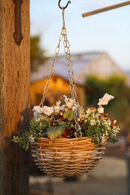 写真 2025-11-20 16 45 52_R_1