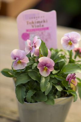 写真 2025-11-06 15 46 53_R_1