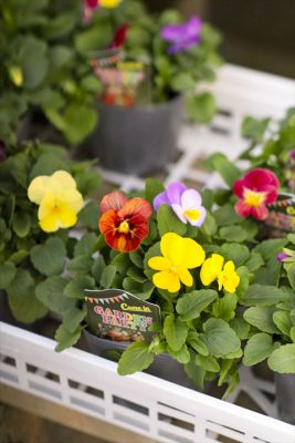 写真 2025-11-05 16 49 38_R_1