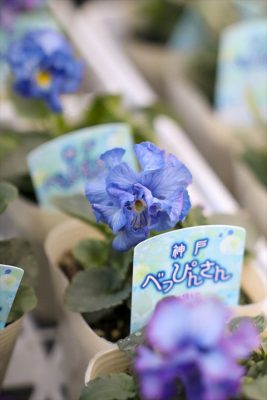 写真 2025-11-27 16 47 52_R_1