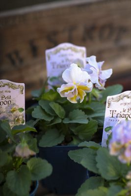 写真 2025-11-07 16 10 20_R_1