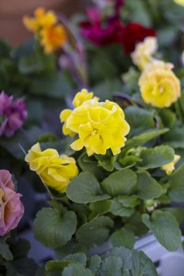 写真 2025-11-06 15 53 05_R_1