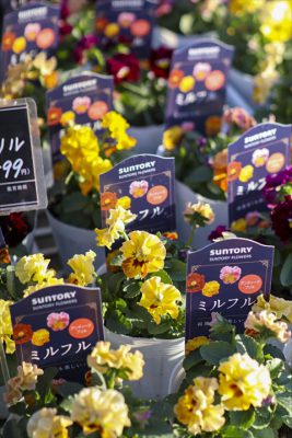 写真 2025-11-07 15 46 11_R_1