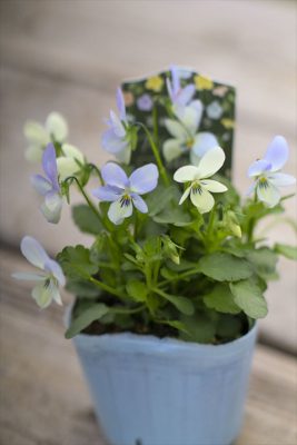 写真 2025-11-19 15 41 58_R_1