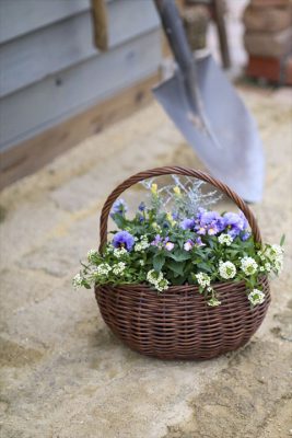 写真 2025-11-19 16 29 40_R_1