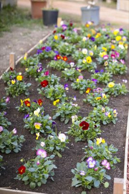 写真 2025-11-30 16 42 10_R_1