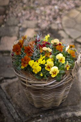 写真 2025-11-13 16 22 22_R_1