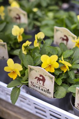 写真 2025-11-05 7 50 04_R_1