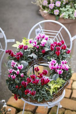 写真 2025-11-25 8 01 07_R_1