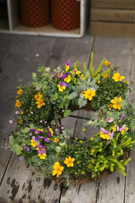 写真 2025-10-31 16 45 01_R_1