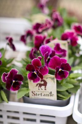 写真 2025-11-05 7 49 33_R_1