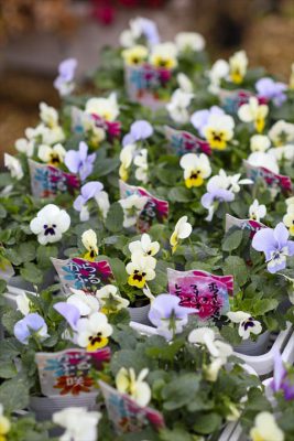 写真 2025-11-19 8 45 17_R_1