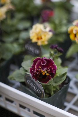 写真 2025-11-30 16 52 11_R_1