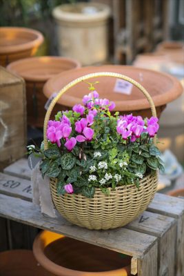 写真 2025-11-02 16 21 44_R_1