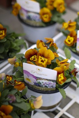 写真 2025-11-08 16 35 27_R_1