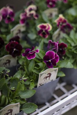 写真 2025-11-08 16 38 40_R_1